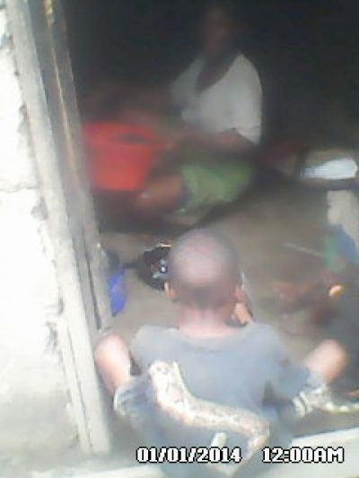Home Back
